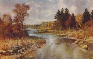 Kanadská lesní scéna, 1924 od Unbekannt