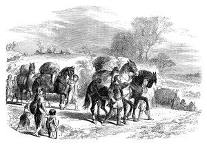 Nošení chleba do Londýna na soumarských koních, c1895 od Unbekannt