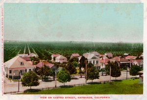 Castro Street, Hayward, Kalifornie, 1905 od Unbekannt