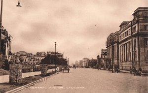 Central Avenue, Kalkata, c1900 od Unbekannt