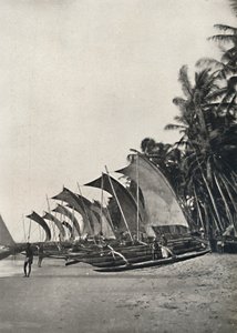 Cejlonské čluny pro námořní rybolov s výložníkem, 1926 od Unbekannt