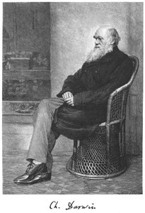 Charles Darwin, anglický přírodovědec, 1883 od Unbekannt