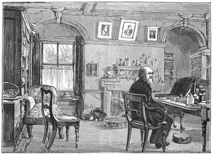 Charles Darwin, anglický přírodovědec, ve své studii, c1870 1887 od Unbekannt