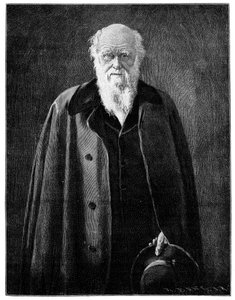 Charles Darwin, proslulý přírodovědec a myslitel, 1900 od Unbekannt