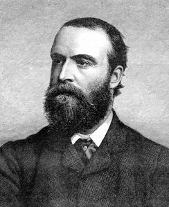 Charles Stuart Parnell, irský politik z 19. století, c1874-1891 od Unbekannt