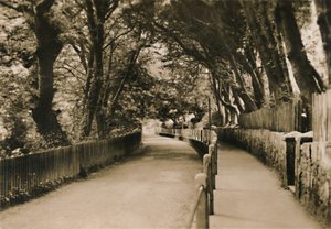 Chine Avenue, Shanklin, I.W., c1920. od Unbekannt