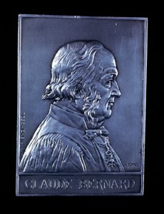 Claude Bernard, francouzský fyziolog 19. století, 1913 od Unbekannt