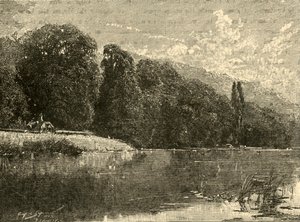 Cliefden Woods, 1898. od Unbekannt