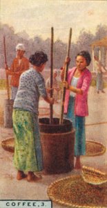 Káva, 3. Hulling the Beans, Java, 1928 od Unbekannt