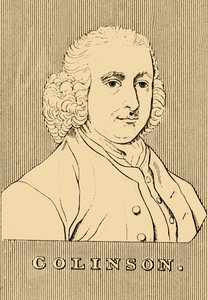Collinson, 1694-1768, 1830. od Unbekannt