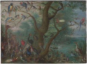 Koncert ptáků, 16601670. od Unbekannt