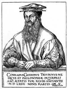 Conrad Gessner, švýcarský přírodovědec, 1887 od Unbekannt