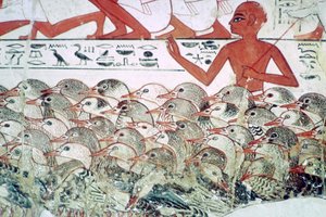 Počítání hus: fragment nástěnné malby z hrobky Nebamuna, Théby, Egypt, c1350 př.n.l. od Unbekannt