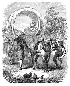 Country přepravní vůz s kapotou, c1882 od Unbekannt