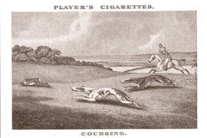 Coursing-11, 1924. od Unbekannt