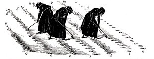 Střídání plodin: ženy prořezávají tuřín, 1855 od Unbekannt