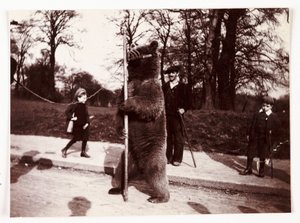 Tančící medvěd, c 1905 od Unbekannt