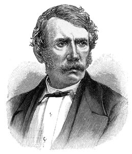 David Livingstone, skotský misionář a průzkumník z 19. století, 1900 od Unbekannt