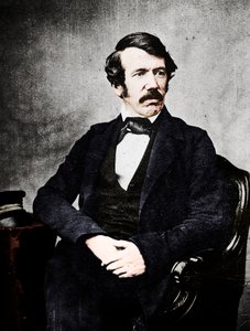David Livingstone, skotský misionář a průzkumník, 19. století od Unbekannt