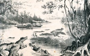 David Livingstone plavící se po Zambezi v Africe, 1852-1864, 1878 od Unbekannt
