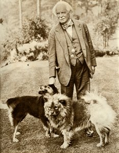 David Lloyd George, 1935. od Unbekannt