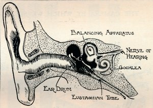 Delicate Mechanism of the Ear, c1934 od Unbekannt