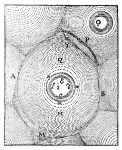 Descartův model vesmíru, 1668 od Unbekannt