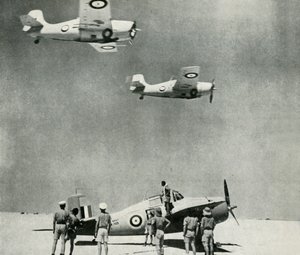Desert Squadron - letadla Fleet Air Arm během druhé světové války, c1943. od Unbekannt
