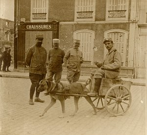 Psí vozík, Francie, c1914-c1918 od Unbekannt