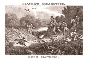Duck-Hawking, 1924. od Unbekannt