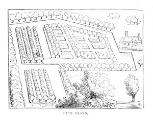 Duck Island, c1870 od Unbekannt