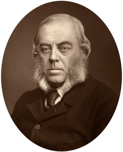Vévoda z Marlborough, lord poručík Irska, 1881 od Unbekannt