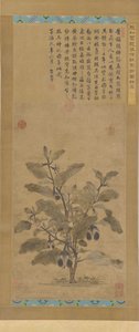 Lilek, dynastie Ming, 1368-1644. od Unbekannt