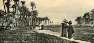 Egypt – domorodé ženy, c1918-c1939. od Unbekannt