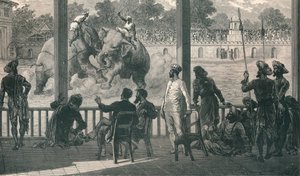 Sloní boj na Barodě, 1896 od Unbekannt