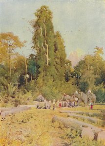 Elephants Piling Teak, 1924 od Unbekannt