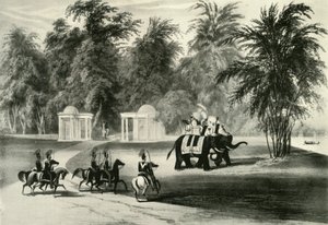 Sloni a tělesná stráž v parku Barrackpore, 1820, 1925. od Unbekannt