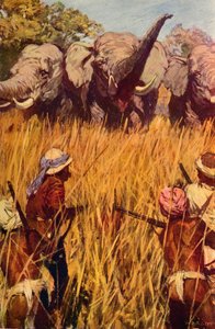 Elephants in Chase, c1850 c1912 od Unbekannt