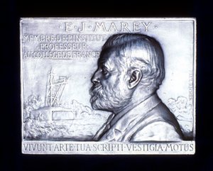 Etienne Jules Marey 1830-1903, francouzský fyziolog, 19. od Unbekannt