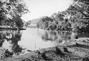 Večerní stíny, národní park, c1900. od Unbekannt