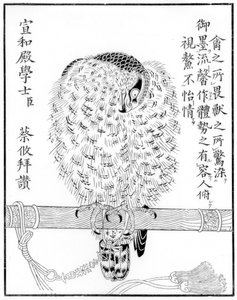 Falcon, 1886 od Unbekannt