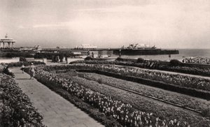Květinové zahrady a West Pier, Brighton, Sussex, 1938 od Unbekannt