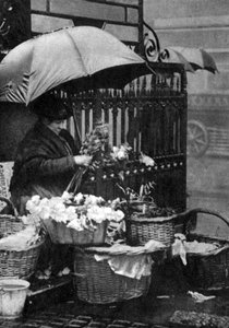 Prodejce květin, Piccadilly Circus, Londýn, 1926-1927 od Unbekannt