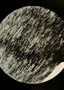 Fosilní dřevo v pískovci, z Morény v zeměpisné šířce 85° jižně, c1908, 1909. od Unbekannt