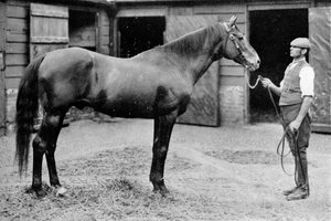 Foxhall, 1880-1904, 1911 od Unbekannt