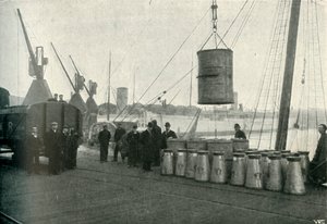 French Milk Being Landing at Southampton, 1902. od Unbekannt