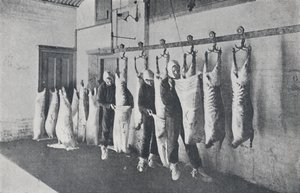 Mražené maso, 1923. od Unbekannt