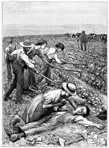 Gangový systém dětské práce, c1885 od Unbekannt
