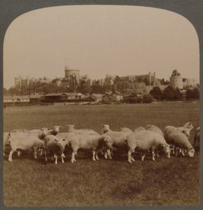 Obecný pohled na hrad Windsor, Anglie, 1896. od Unbekannt