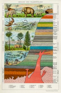 Geologie a paleontologie, c1880 od Unbekannt